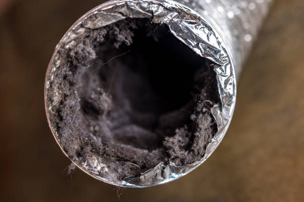 Best HVAC System Cleaning  in Wesson, MS